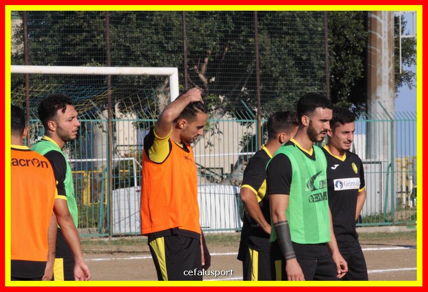 181111 Cepha_Milazzo 040_tn.JPG